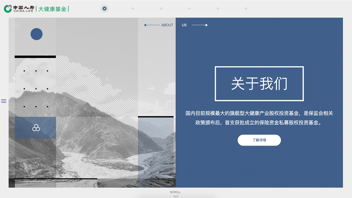 大健康基金股权网站设计